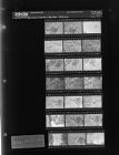 Weather Balloon Rescued (21 Negatives), January 24-25, 1966 [Sleeve 47, Folder a, Box 39]